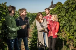 Weinbergwanderung mit Verkostung Worms