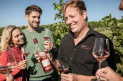 Weinbergwanderung mit Verkostung Worms