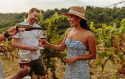 Weinbergwanderung mit Weinprobe Guldental