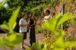 Weinbergwanderung mit Weinverkostung in Rheinland-Pfalz
