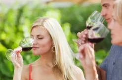 Weinbergwanderung mit Winzer im Ahrtal