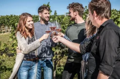 Weinbergwanderung & Weinprobe Raum Heidelberg für 2