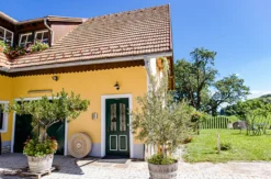 Weingut-Kurzurlaub in der Steiermark für 2