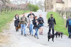 Wein-Jagd für 6 Personen