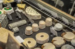 Wein & Käse Seminar