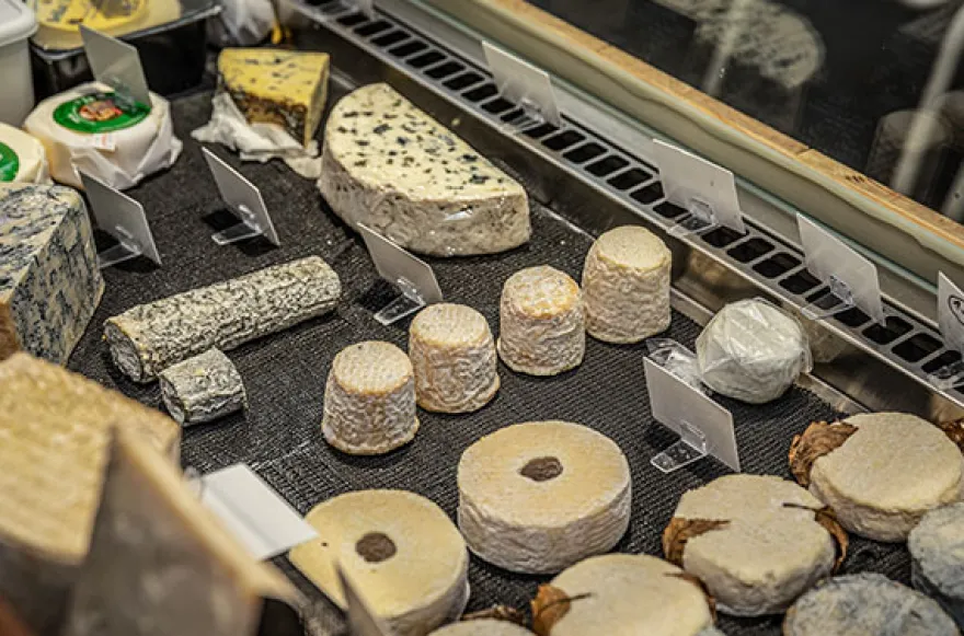 Wein & Käse Seminar