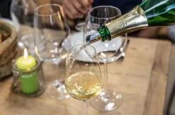 Wein & Käse Seminar