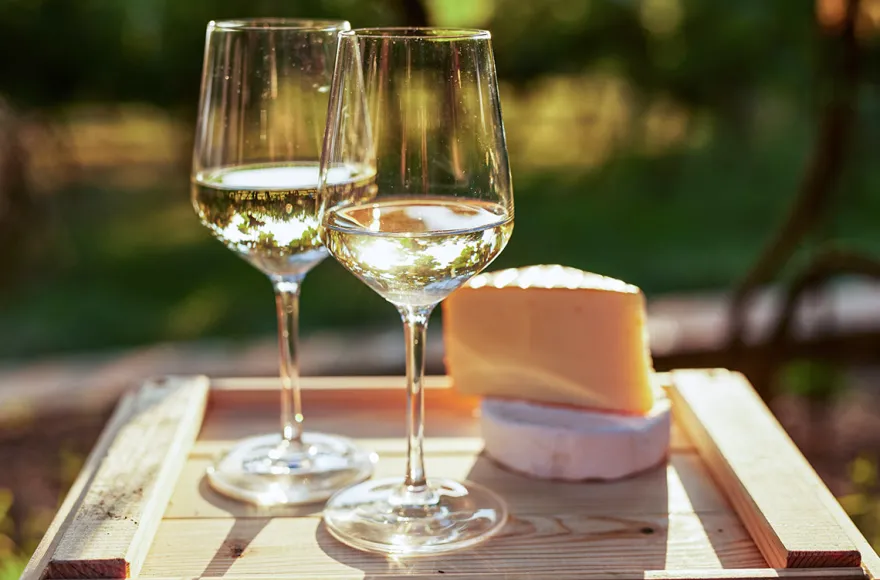 Wein & Käse Seminar Schriesheim