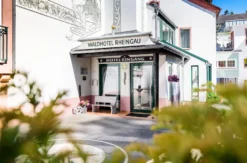 Wein-Kurzurlaub im Rheingau für 2