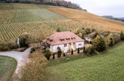 Weinprobe Maulbronn