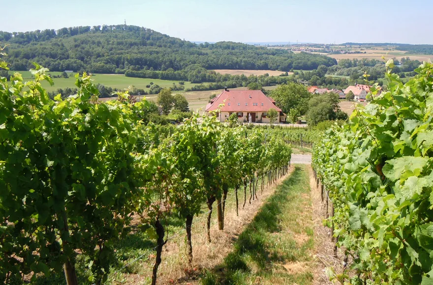Weinprobe Maulbronn