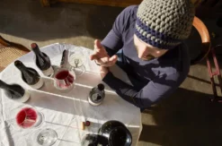 Weinprobe mit Kellerführung Rhodt unter Rietburg für 2
