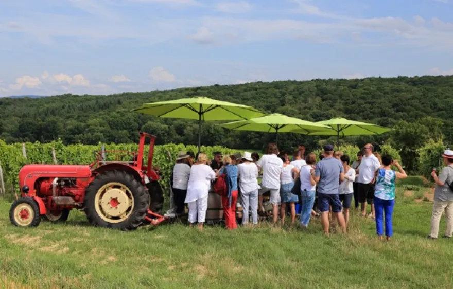 Weinprobe Schweinfurt