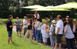 Weinprobe Schweinfurt