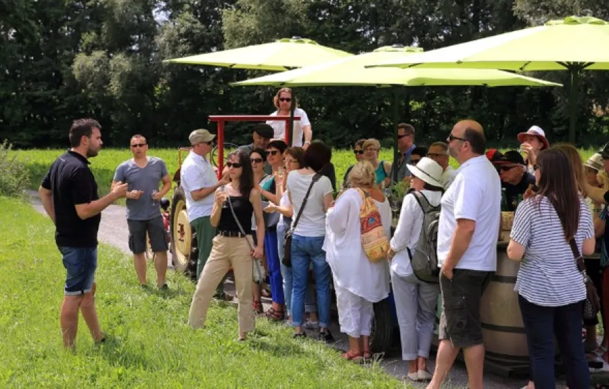 Weinprobe Schweinfurt