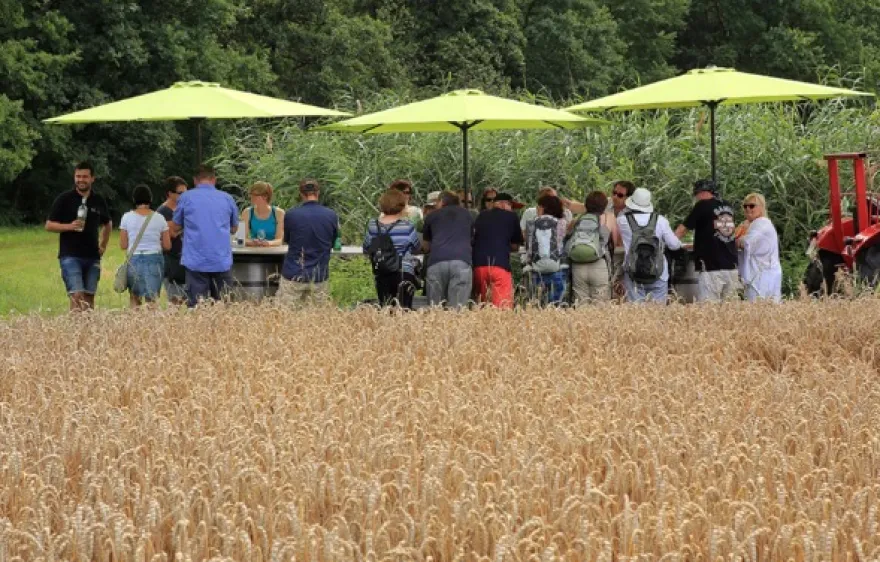 Weinprobe Schweinfurt