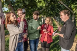 Weinprobe Worms