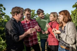 Weinprobe Worms