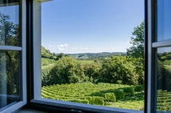 Weinreise Grassnitzberg für 2 (1 Nacht)