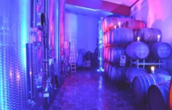 Weinreise Rohrbach für 2 (1 Nacht)