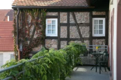 Weinreise Weisenheim für 2 (1 Nacht)