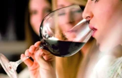 Weinseminar Basel (Weinbasics)