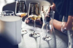 Wein Seminar Bern