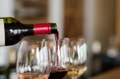 Wein Seminar Bern