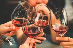Weinseminar Bonn