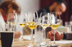 Weinseminar Dortmund