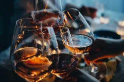 Weinseminar Einsteiger Bonn