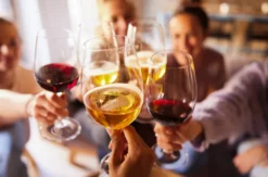 Weinseminar Einsteiger Düsseldorf