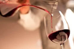 Weinseminar Einsteiger für 2 Walldorf