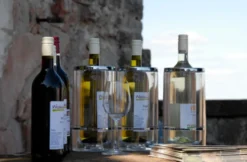 Weinseminar für Einsteiger