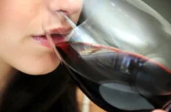 Weinseminar für Einsteiger