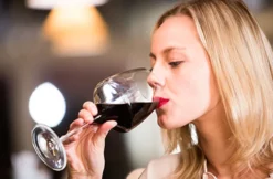 Weinseminar für Einsteiger