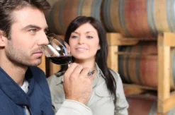 Weinseminar für Einsteiger Basel