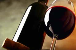 Weinseminar für Einsteiger Basel