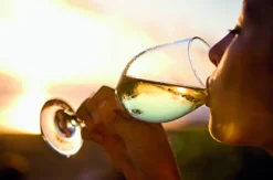 Weinseminar für Einsteiger Basel