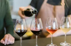 Weinseminar für Einsteiger Hamburg