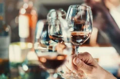Weinseminar für Einsteiger Hamburg