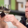 Weinseminar für Einsteiger Karlsruhe