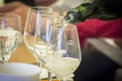 Weinseminar für Einsteiger Liebefeld