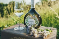 Weinseminar für Einsteiger Markt Nordheim