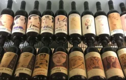 Weinseminar für Einsteiger Münster