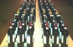 Weinseminar für Einsteiger Münster