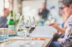 Weinseminar für Einsteiger St. Gallen