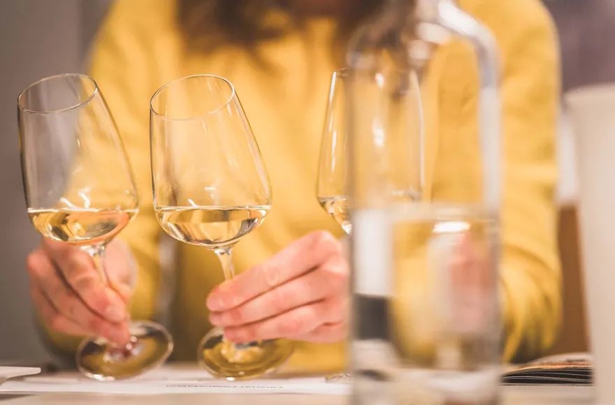 Weinseminar für Einsteiger Thun