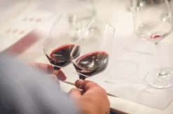 Weinseminar für Einsteiger Thun