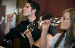 Weinseminar für Einsteiger Walldorf